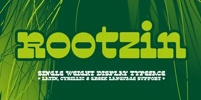 Rootzin blog cover